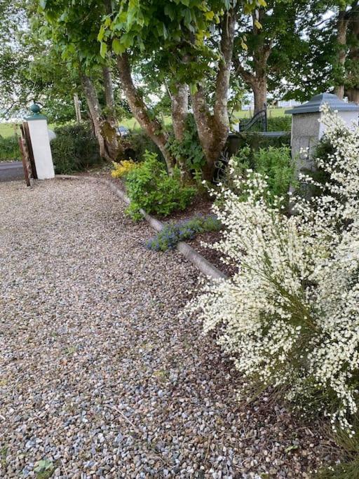 Breathnach Cottage Annex Knockleagha Ballina F26 D7E2 Екстериор снимка