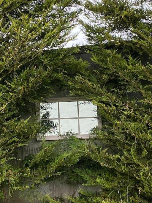Breathnach Cottage Annex Knockleagha Ballina F26 D7E2 Екстериор снимка